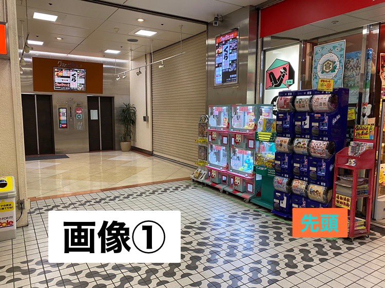 5/26発売【ジャック・オ・蘭たん】 🎃整理券配布と購入方法について