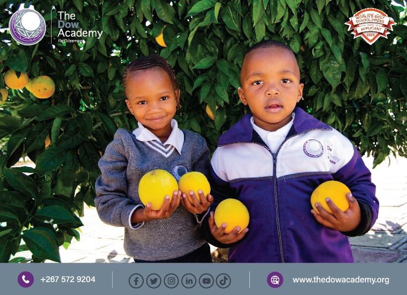 TheDowAcademy's tweet image. With winter upon us, our little ones are getting their daily dose of vitamin C and building their superhero defences! ❄️🍊💪

#ReDiteemane
#TDAReceptionClass 
#OrangeHarvesting