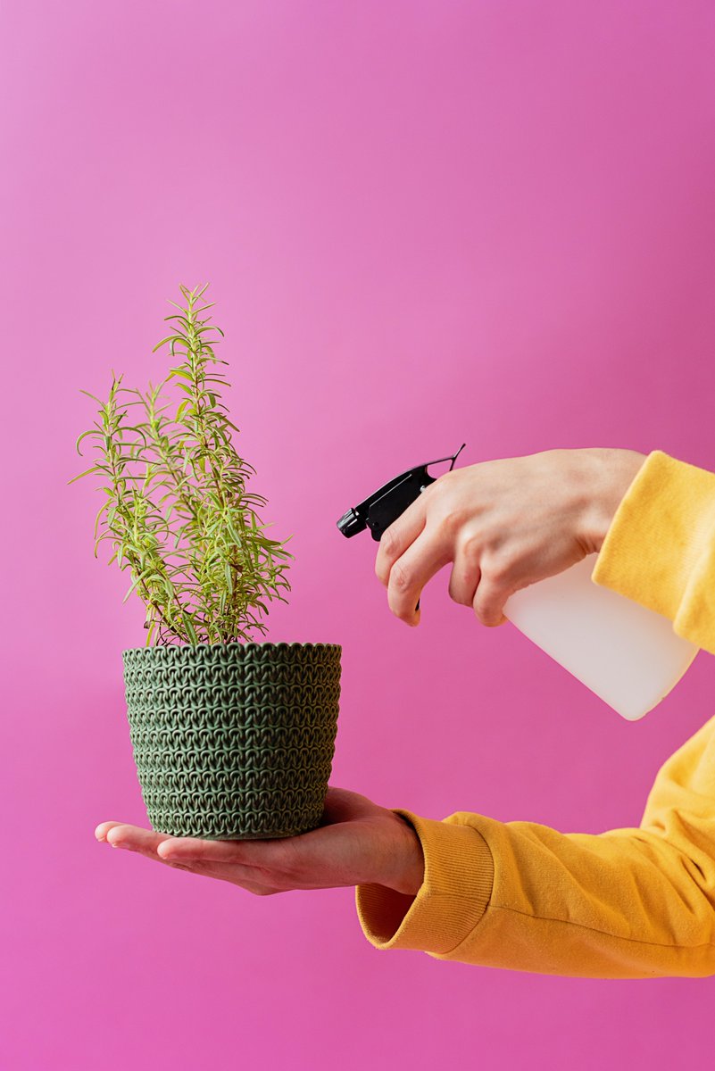 Who wants to reach a wider audience?? //
We have a funded workshop for #creatives to develop a business development plan that will help boost growth🤩//
Book here👉bit.ly/3oN4jng