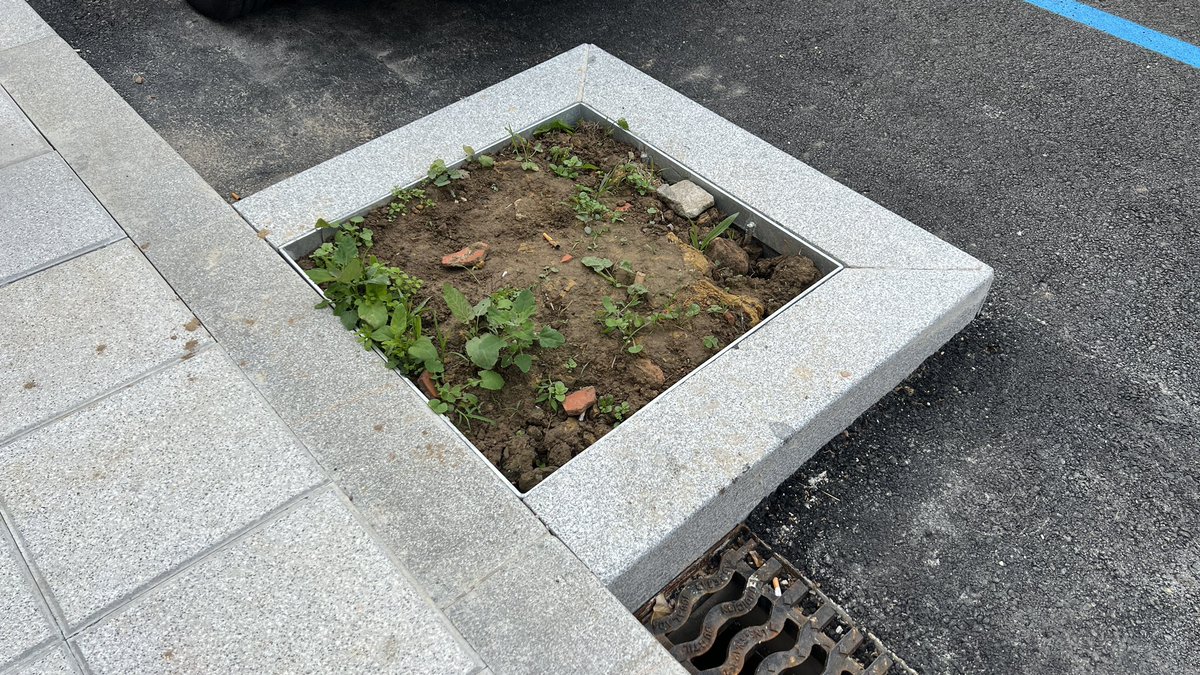 santandersucio's tweet photo. Hola, @gemaigual. ¿Recuerdas que inauguraste la 'remodelación' de Entrehuertas a principio de abril? Pues así siguen sus nuevas 'zonas verdes'. ¿Lo dejas ya para la campaña de 2028? #SantanderSucio #SantanderSuciedad #SantanderCiudad #Santander https://t.co/mGKHLqiV3S