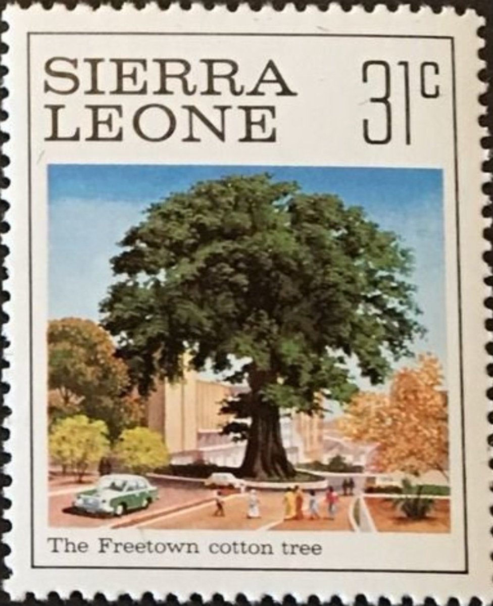 Today is the 60th Anniversary of Africa Day. An historic day of unification on the continent. Sadly and symbolically it is also marks the falling of 'Cotton tree' in Freetown this morning. Its existence spans several centuries symbolising freedom in Sierra leone. AFRICA DAY.