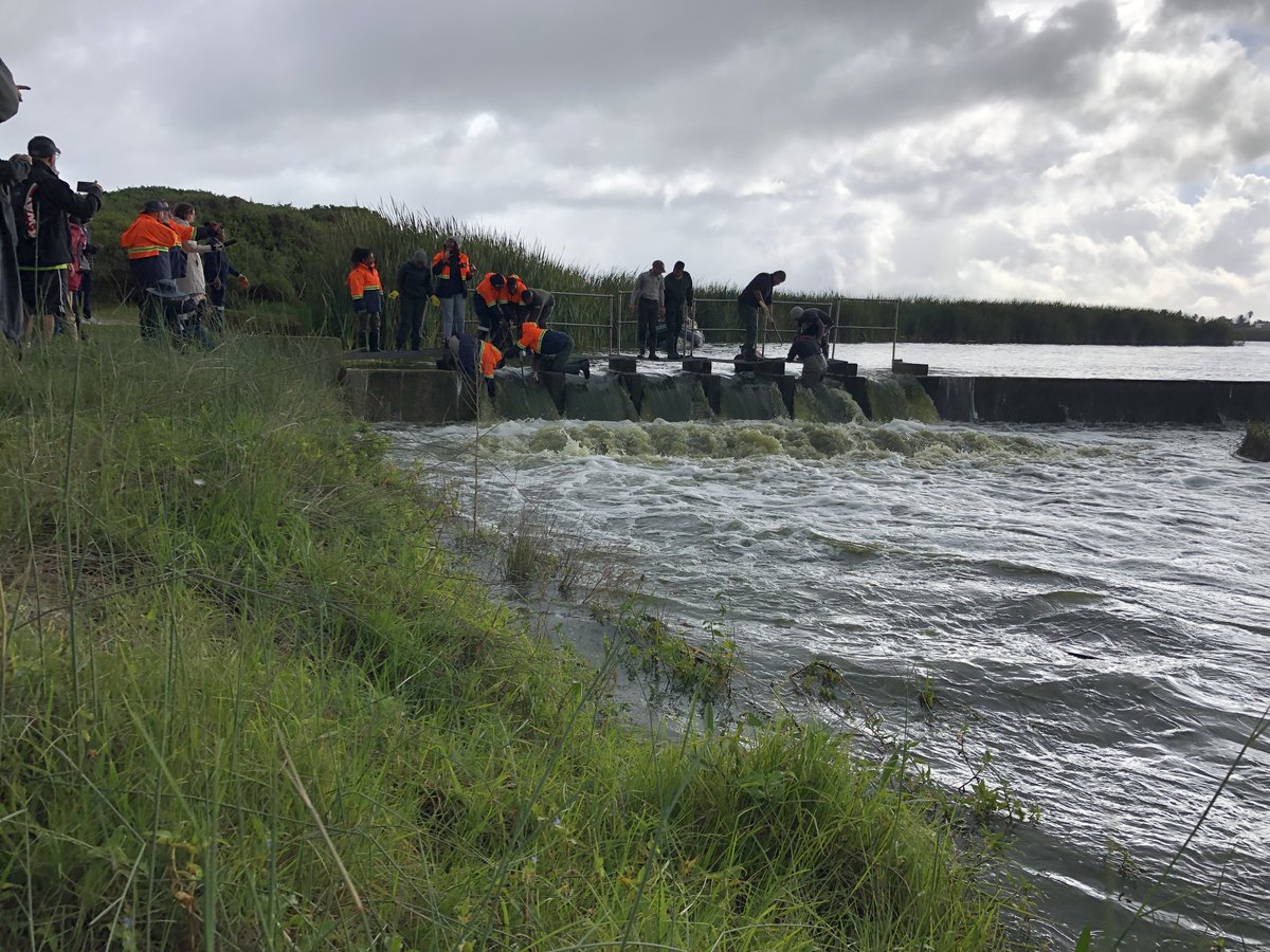 EHS - Environmental Humanities South tweet media