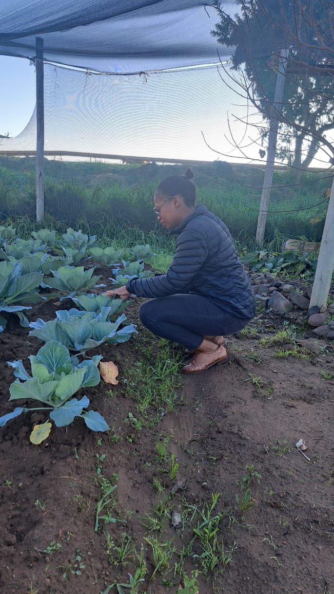 TigerBrands_F's tweet photo. Last week, on May 16th and 17th, our National Office officials conducted a monitoring visit in the Free State.
#Khulisa #TBF #BeyondTheMeal #100MillionMeals #LearnersFocusedOnLearning #LetTheChildBeAChild #Sustainability #Communities #Nutrition https://t.co/EqUHx8MYvJ