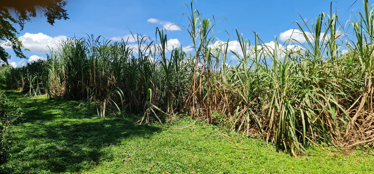 Cathy Cole Ltd tweet media