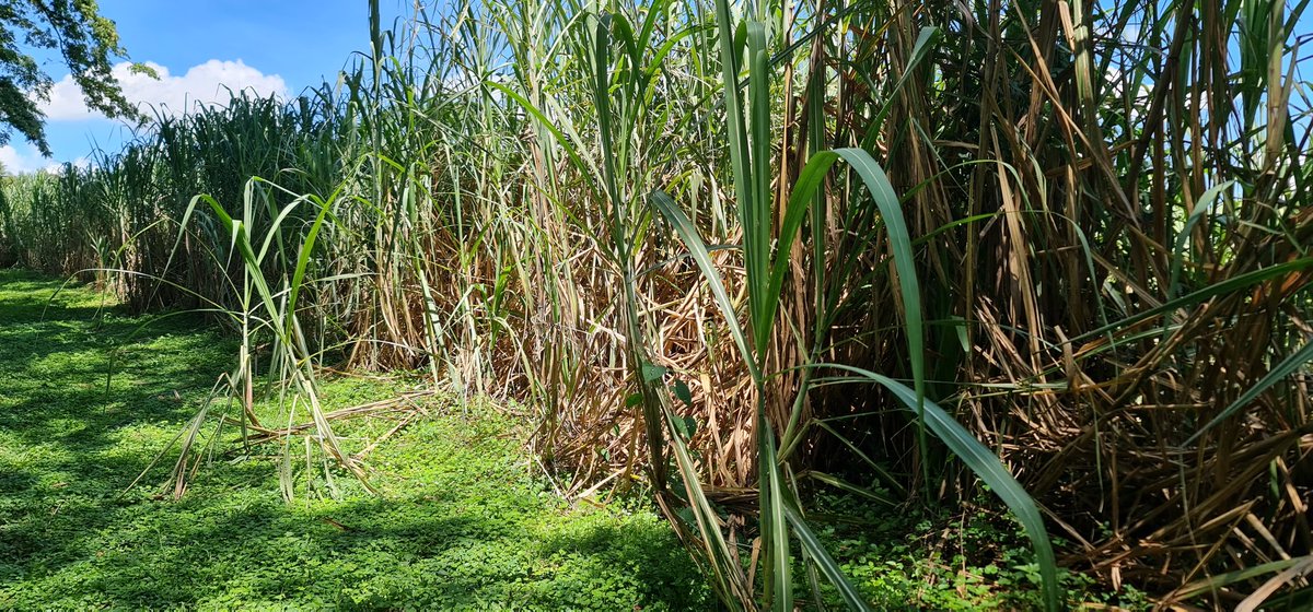 Cathy Cole Ltd tweet media