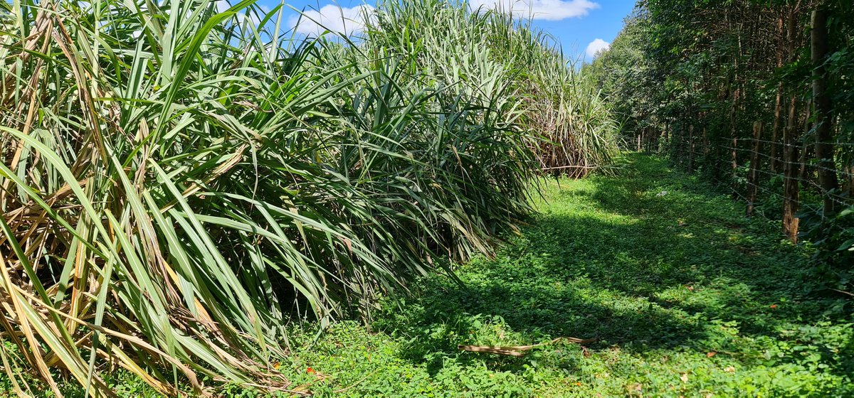 Cathy Cole Ltd tweet media