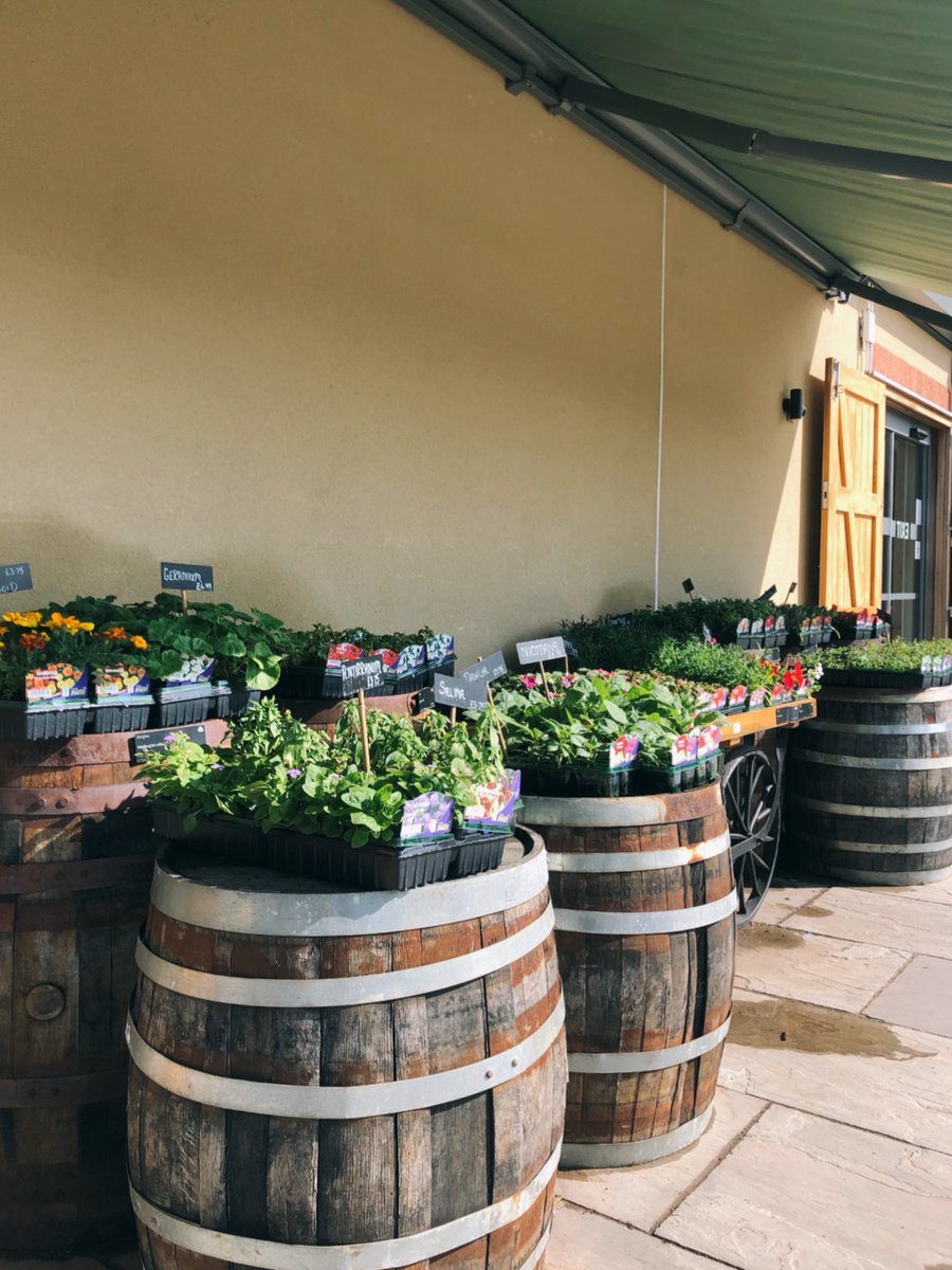 Summer is coming; get your garden ready with our gorgeous selection of outdoor plants 🌱🌸🌺🌼

#gardening #garden #flowers #plants #farmshop #outdoors #summergarden #outdoorseating #foodie