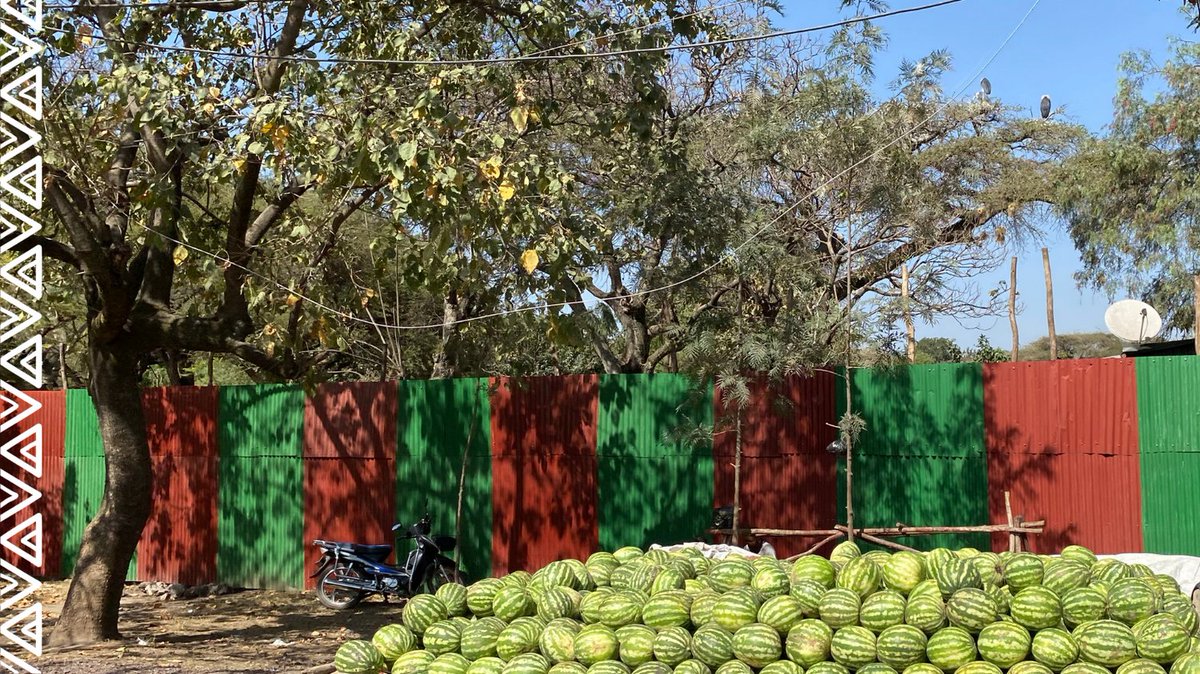 Today is #AfricaDay! This day celebrates #peace, #transformation, and #independence. 

Some of the Ethiopiaid staff visited Ethiopia earlier this year. We wanted to share some of the breath-taking scenery they saw and show our appreciation for the beautiful country of #Ethiopia.