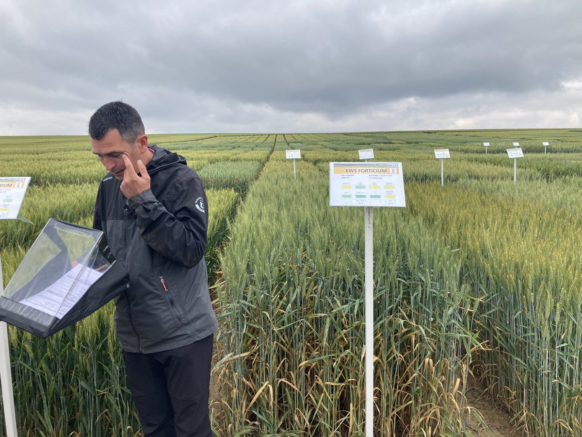 BUREAU20's tweet photo. L’équipe Sud Ouest IMPAACT en visite sur leur plateforme Cereales - Tournesol 
Avec plusieurs partenaires ( TELESPAZIO - RAGT - SAATEN UNION) ainsi la visite du centre de SYNGENTA à ST SAUVEUR (laboratoire et serre de recherche) https://t.co/ycZwlAI586
