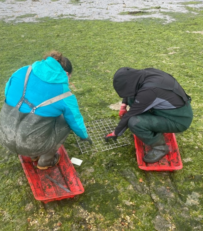 ProjectRaNTrans's tweet photo. 🌊🌧️💦#CleanWater & plenty of #MarineWildlife 🐟🦈🦐is vital for our #Health⚕️❤️🩹👩⚕️👨⚕️🌏🌈.
Find out about the innovative work of project #RaNTrans using nature based solutions #nbs to restoring #waterquality & #wildlife in marine transitional waters!
⬇️https://t.co/yOcoHmtNLF https://t.co/UOlusqovE0
