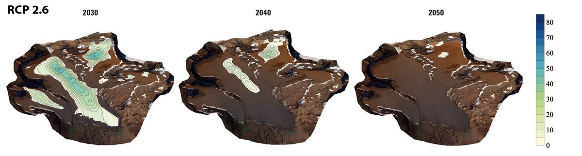 Melaine Le Roy tweet media
