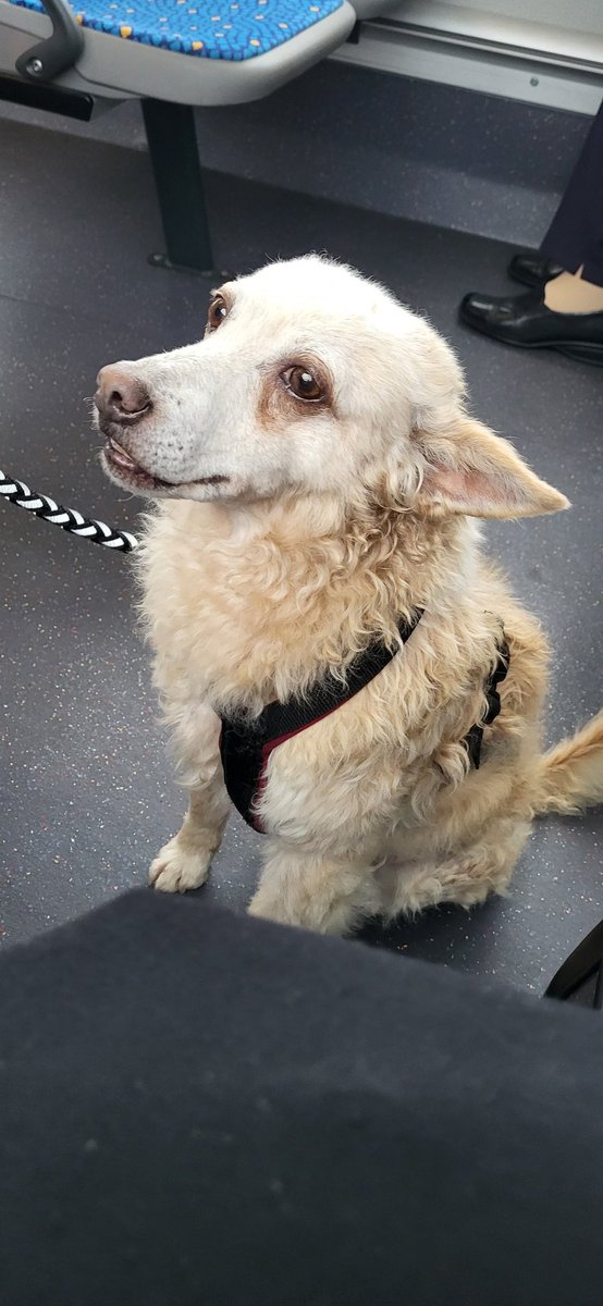 Michelleeee tweet media