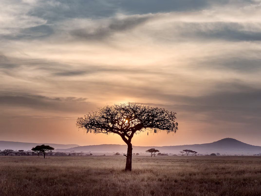 🌍 Happy Africa Day! 🌍

Today, we celebrate Africa's vibrant spirit and its immense potential. With its rich culture and youthful energy, Africa is a driving force for positive change. Let’s work towards a sustainable future for all. #AfricaDay #AfricaRising #ForPeopleForPlanet