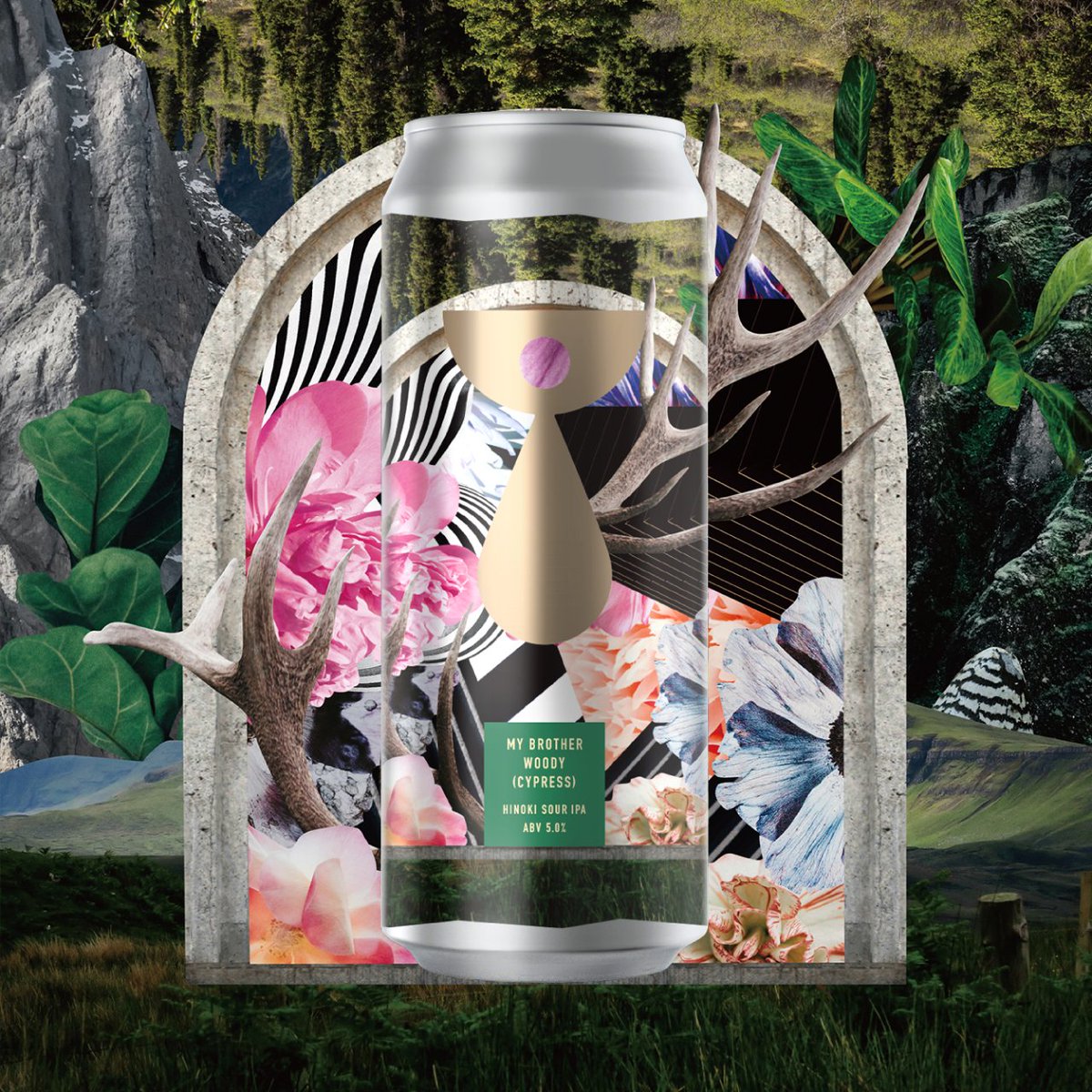 森大地 Teenage Brewing/downyサポート/Aureole/NEPO/ヒソミネ tweet media