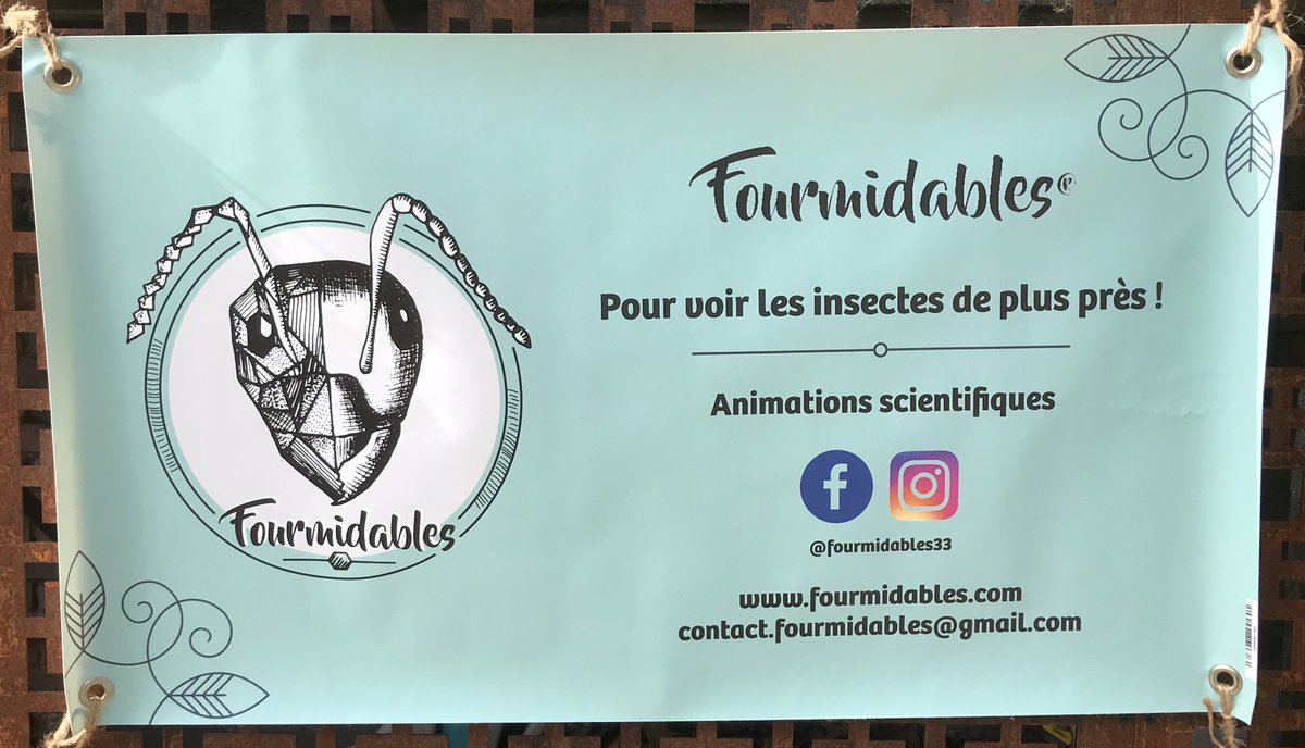 Elisabeth Herniou tweet media