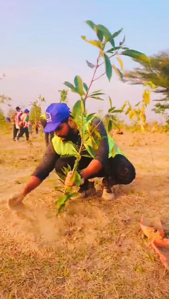 #UCPPlantation2023  #UCPXAlkhidmatPlantation2023  #CleanAndGreenPakistan