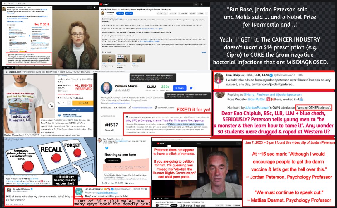 maggini_19's tweet photo. @chrissaccoccia1 Rose Webster @GetMyGist 🇨🇦♀️ here, 1 of the 🔇 since 2016 #WomenInSTEM.
@ChrisSky4Mayor I mean this sincerely, pls do NOT team up with @mark_slapinski & Mr @jordanbpeterson who are trying to ride YOUR coat-tails now.
#NoAmnesty #HoldThemAccountable #CovidCrimes #Abetting? https://t.co/DA483d6Lyf