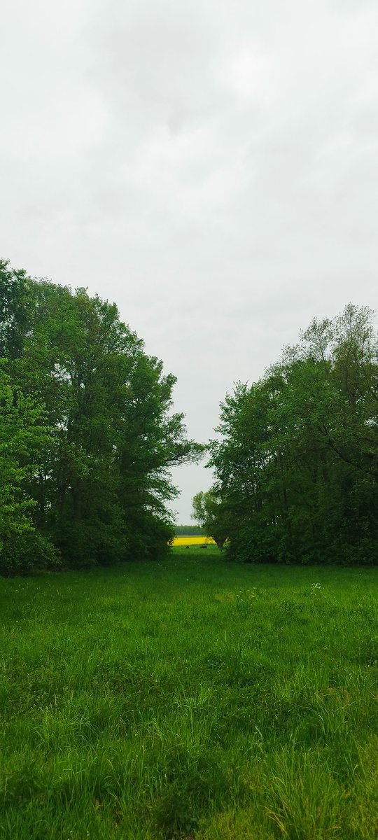 STARTPROTON's tweet photo. My everyday view of the world 💚 https://t.co/HJiR33nPjo