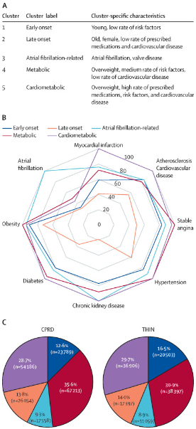 LancetDigitalH's tweet image. NEW Research on identifying subtypes of #heartfailure from #electronichealthrecord sources with #machinelearning. @amibanerjee1 @ucl 

Read it here: buff.ly/3qbSLel