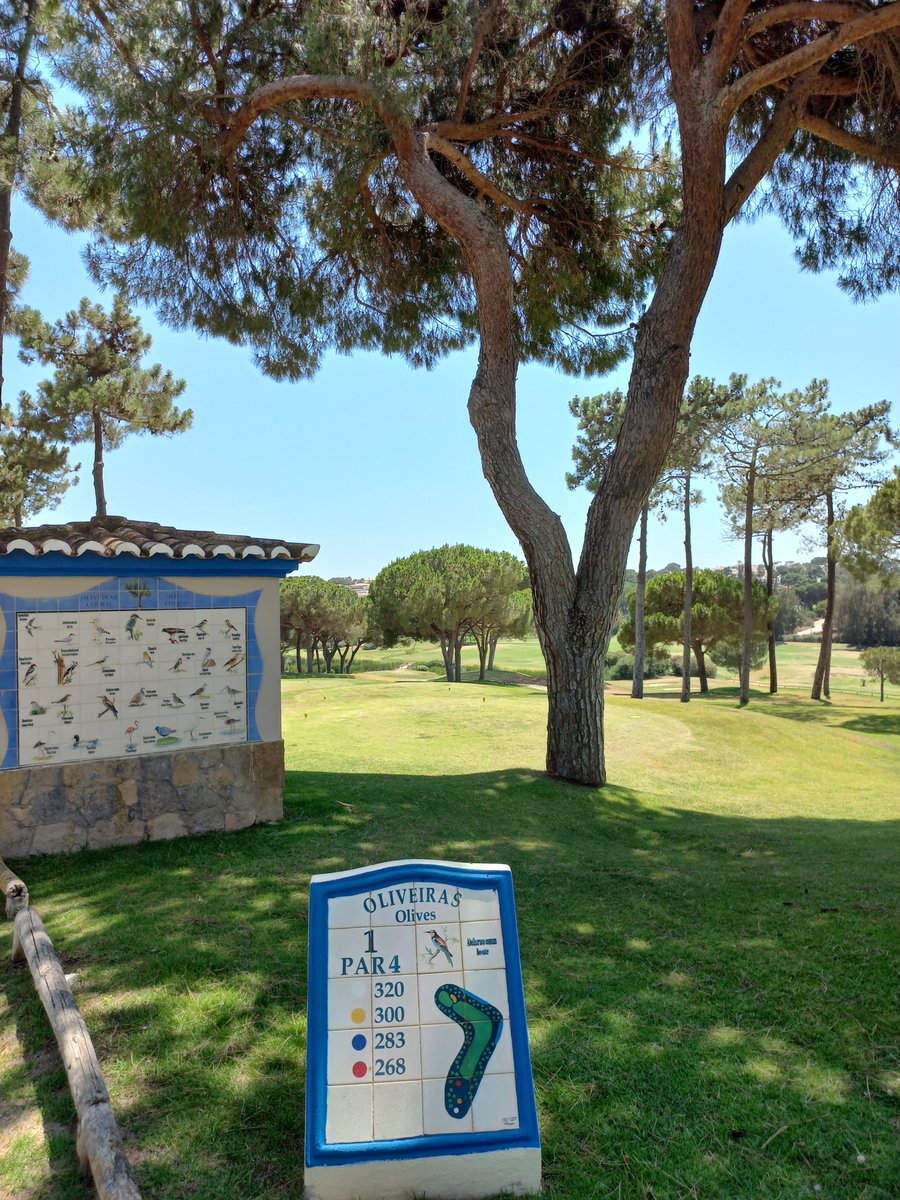 Pinheiros Altos Golf tweet media