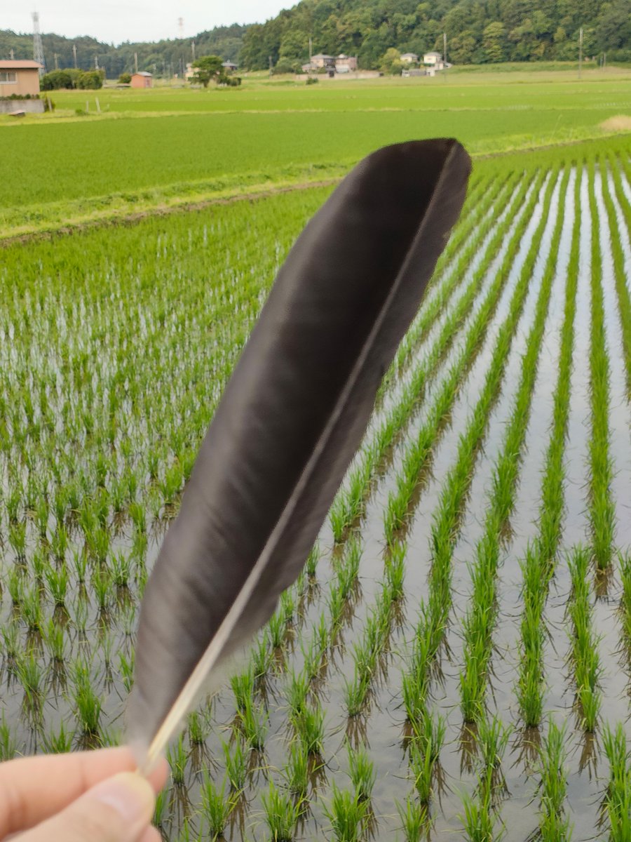 私がわかりやすい場所にルーキスが置いておいてくれた目印だ。 https://t.co/r6XKeRvmTk