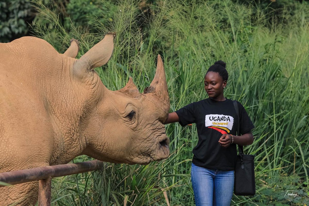 22 hours left to vote!!

Kindly cast your vote today, let’s win popularity vote for Miss Tourism Buganda 

africavotes.com/n/namulwana.hi…

#ExploreUganda #greeningtourism