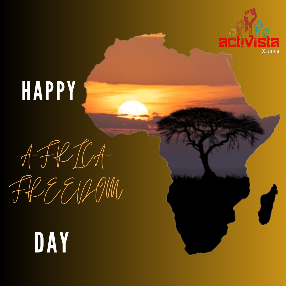 Activista_Zambia tweet media