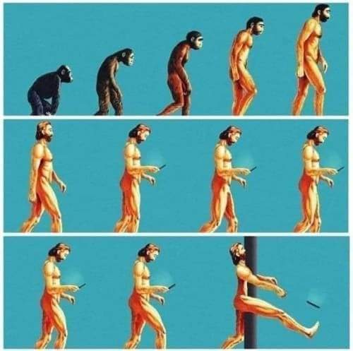 GeekAlma's tweet photo. Do the evolution https://t.co/ujpCNzZb3m