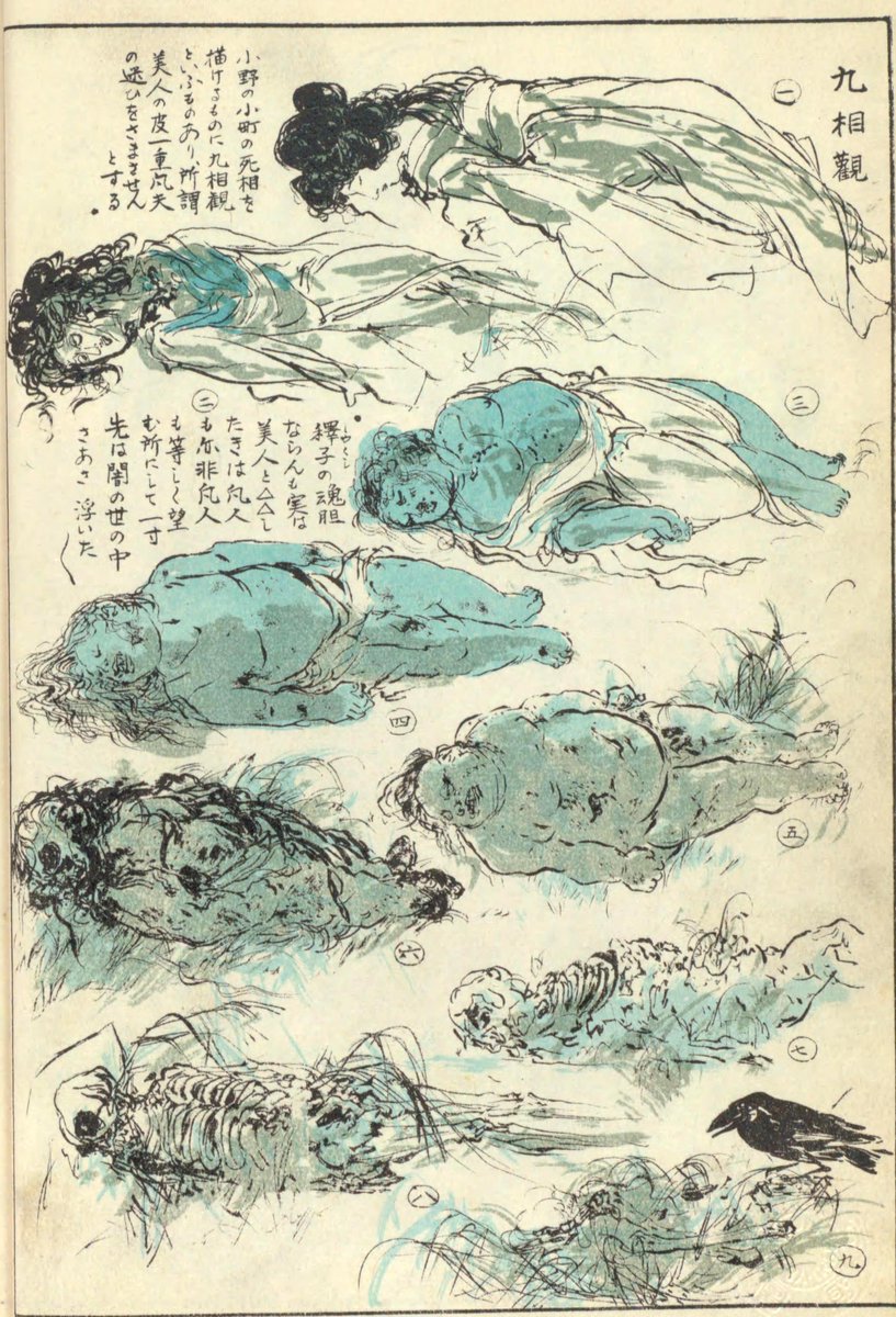九相圖 Kuso-zu Illustrated Guide to the 9 Stages of Decomposition ...