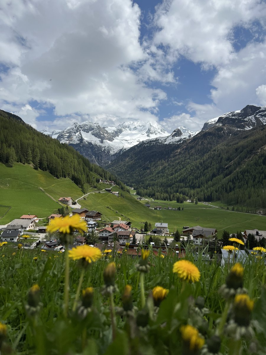 Your next adventure starts now: Close your eyes and picture yourself immersed in nature, surrounded by mountains and the uniqueness of this landscape.🌻Our live pictures guide you through this journey and invite you to #SouthTyrol. link.suedtirol.info/spring_in_sout…