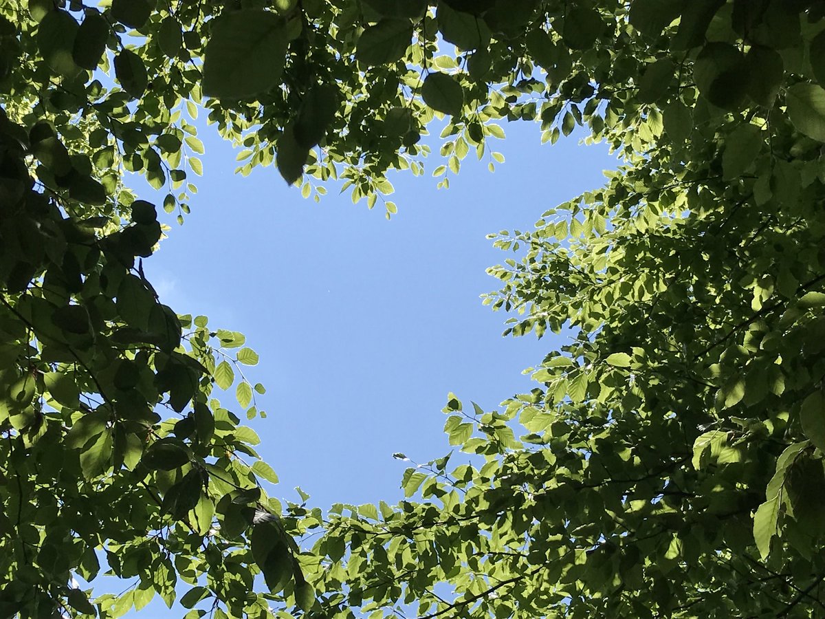 Nicky Singer tweet media