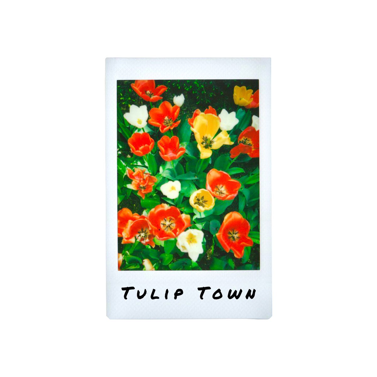 Raven50MM tweet media