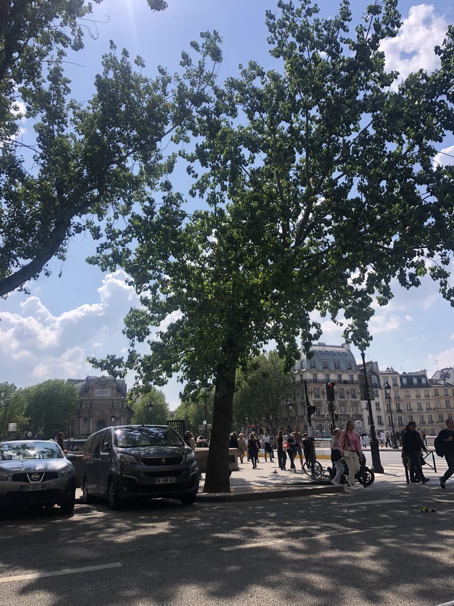 Charles_Meaby's tweet photo. Happy to be in Paris in the Spring with my sweetheart ❤️ https://t.co/WIPjaheyiB