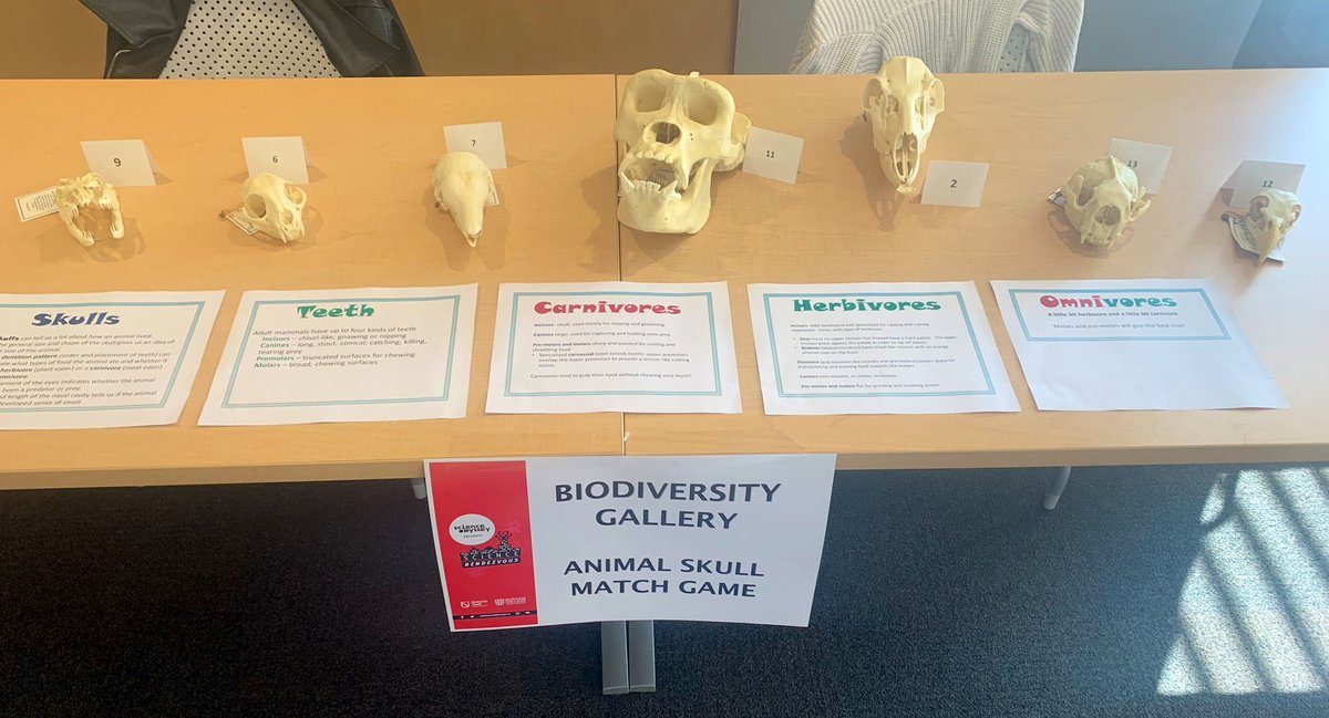 Erin Smith tweet media