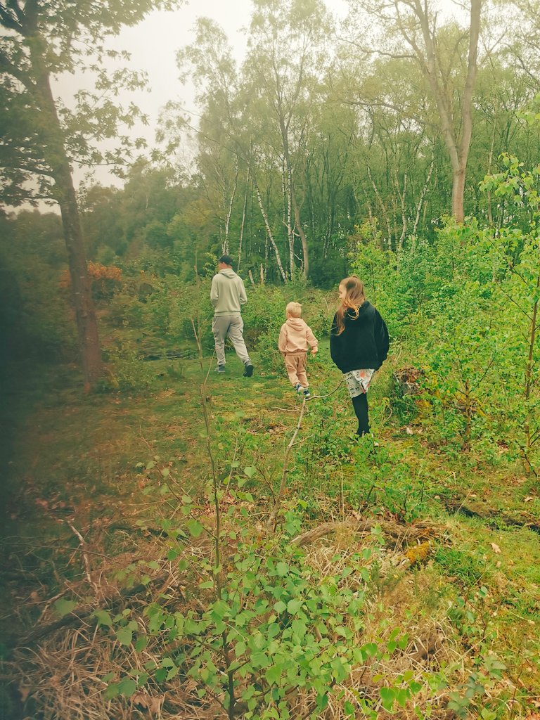 Jadewedge211's tweet photo. Poppymae spent the morning in the woods enjoying nature 🌲🌿🍃 @AspireSuite @InspireSuite https://t.co/R1940S761l