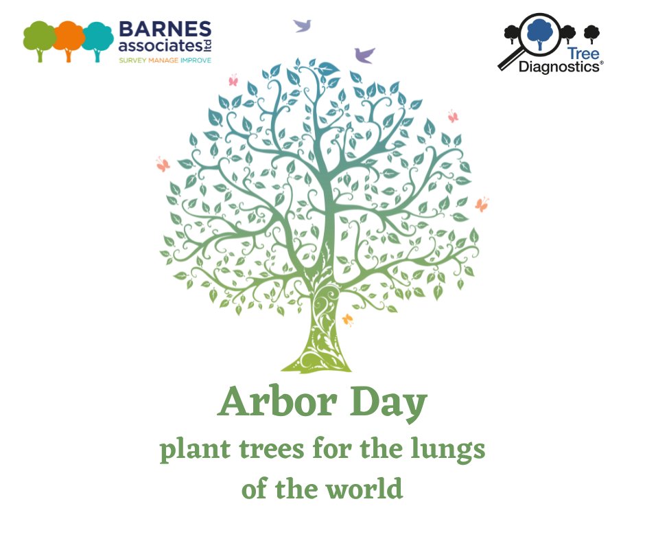 BarnesAssocLtd's tweet image. Happy Arbor Day, remember to go out and plant a tree.
#barnesassociates, #treediagnostics, #arborday