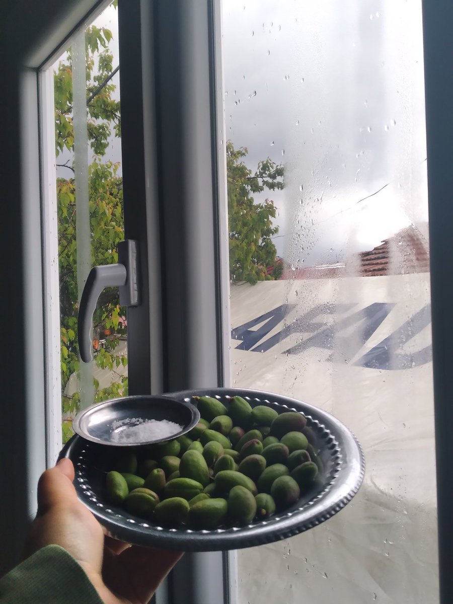 NilgnNL10's tweet photo. Malatyalı olmak🤍 süt mü yourt mu bilen bilir✨️ https://t.co/2UsVsdLQVF