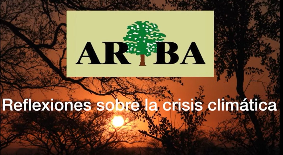 ArbaEduca's tweet photo. https://t.co/fnerEMoMVp https://t.co/XXKTMnurAb