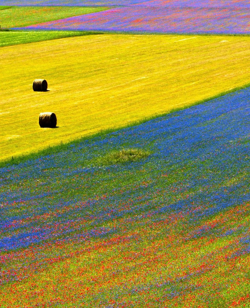 5月から6月まで、カステルッチョ・ディ・ノルチャで自然が織りなす絶景が出現！
カラフルなパッチワークは花の絨毯！😉

📍@UmbriaTourism

📷 IG issimo

#ilikeitaly #YourItalianPOV #castellucciodinorcia #fiorituracastelluccio #umbria