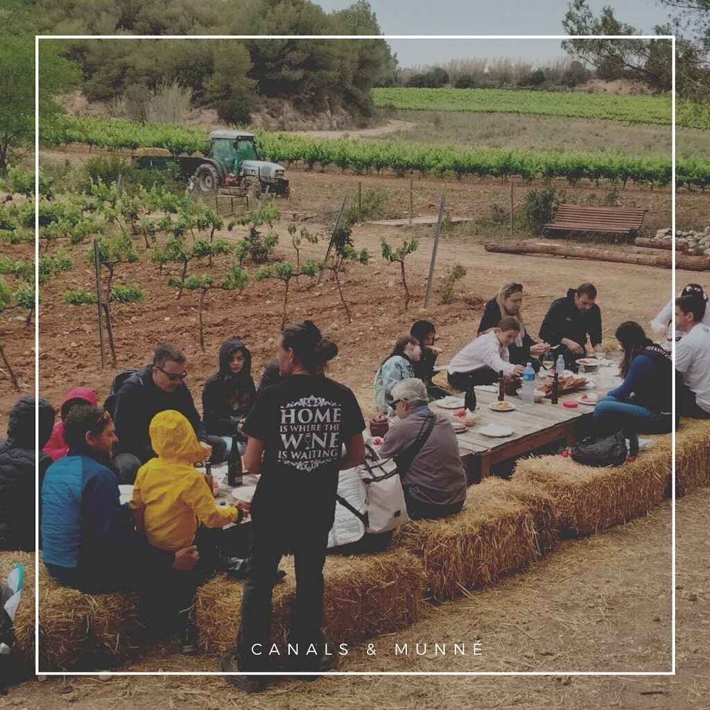 Esmorzar a les vinyes. Ara arriba el bon temps i teniu l'oportunitat de fer el nostre esmorzar entre vinyes que inclou visita guiada amb explicacio, 3 degustacions, esmorzar de botifarra amb mongetes i pa torrat, visita al parc de animals i jocs variats … instagr.am/p/CsL2jajMO8L/