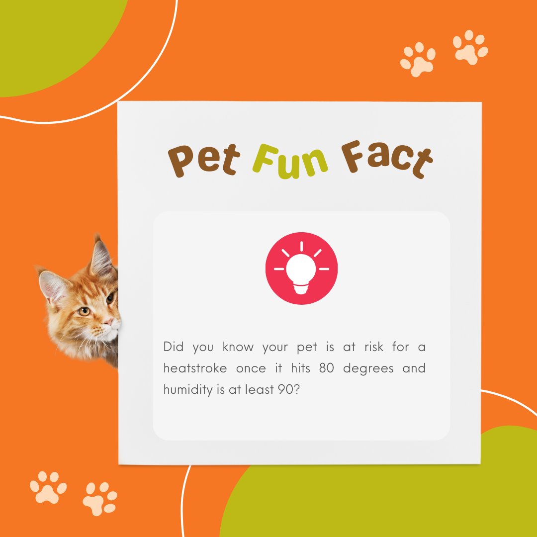 CaudleVet's tweet image. Did you know your pet is at risk for a heatstroke once it hits 80 degrees and humidity is at least 90? 
Make sure to keep your pet safe and healthy as we make our way into the summer months!

#summerpets #petsafety #CaudleVetClinic #VetClinic #NashvilleVet