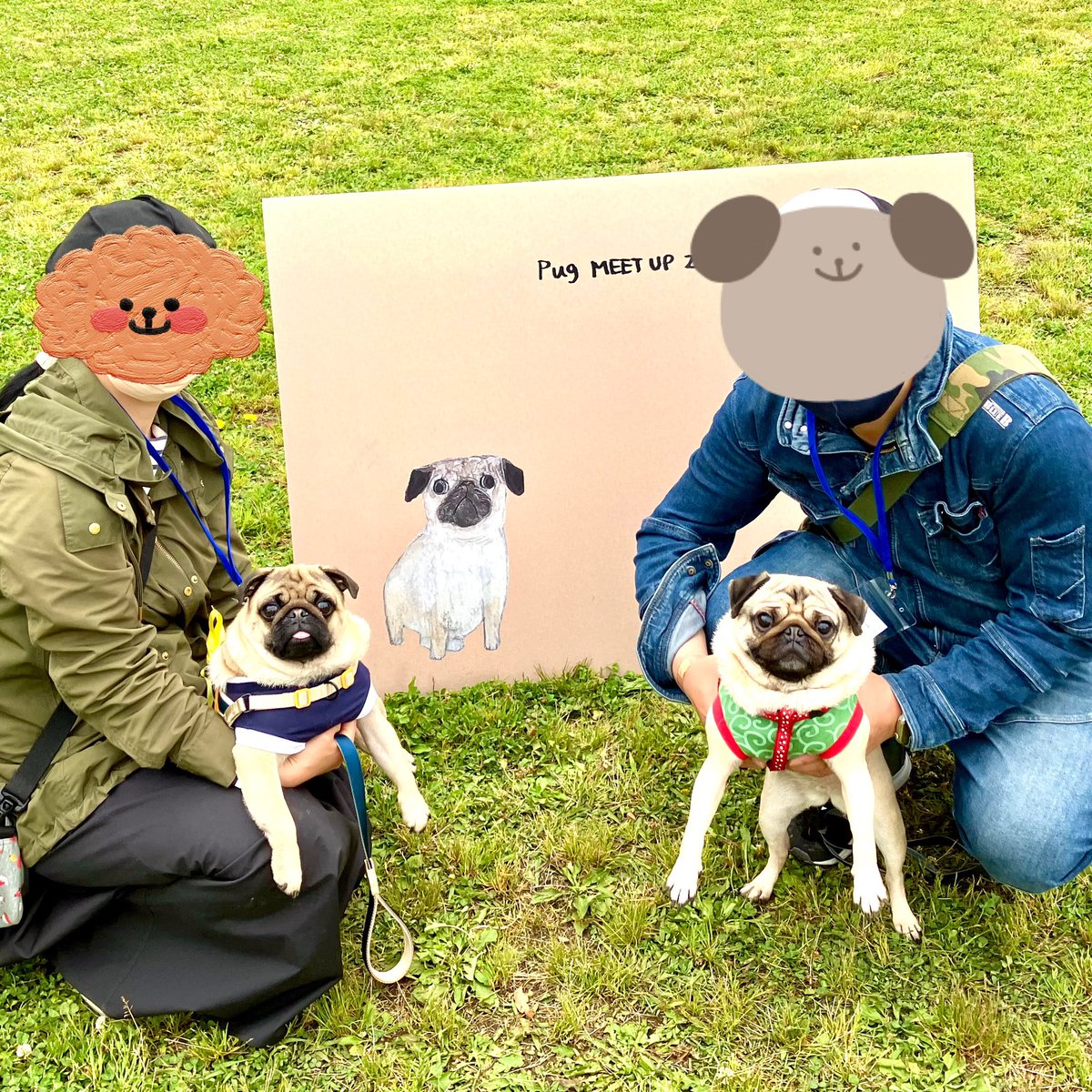 2020_pug_tsune's tweet photo. きょうはたのしいイベントにいってきただぁよ。おともだちにたくさんであえてうれしかっただなぁ。またじかいもいきたいでよ。カーッ!
#犬好きさんと繋がりたい
#犬のいる暮らし #パグ #pug
#pugmeetup #パグミートアップ
#秋ヶ瀬公園 https://t.co/IDF1zSYRld