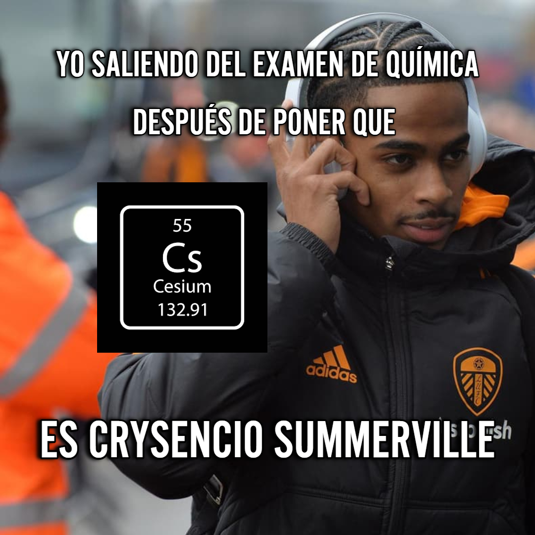 Rodri_lufc's tweet photo. Crysencio Summerville 😎🤑 https://t.co/oCiFCZr6qu