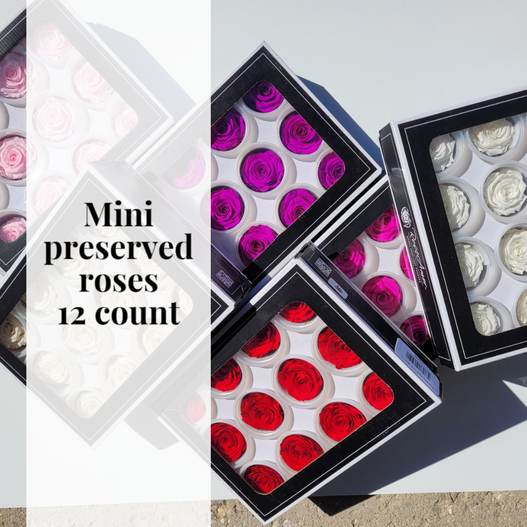 endlessblossoms's tweet photo. Great size for corsages and bouquets. Small (mini) 12 count Rose Amor Luxury Ecuadorian Preserved Roses https://t.co/xPKioXfXOH #wedding #mothersday #rose #diycorsages #preservedroses #ecuadorianroses #foreverroses #roseamor #eventplaner #floristsupplies https://t.co/aUV0RBSs3v