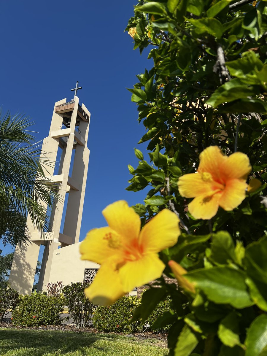 GannonU's tweet photo. In the Catholic university tradition, the Graduation Mass is celebrated to conclude the academic year with the special intention of honoring our graduating students. #GannonGrad https://t.co/NJd5iIkhej