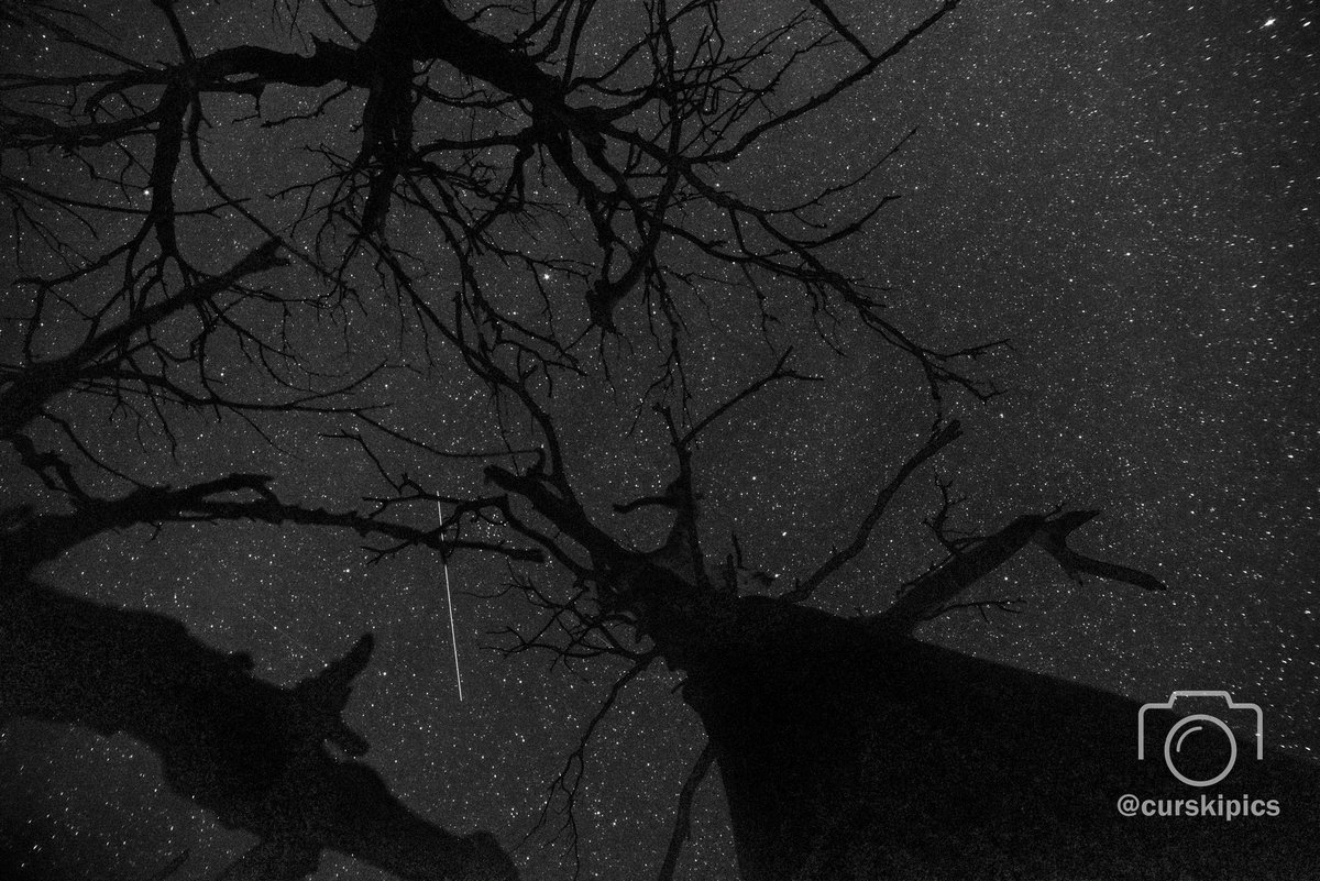 CurskiPics's tweet photo. A @SpaceXStarlink satellite (I THINK #4190) passes past the spooky tree Sunday night.
#stars #starlink #tree #spookytree #night #nightsky #satellite #lines #dark #silhouette #space #minnesota #roadtrip #nature #trees #naturephotography#photography #longexposure #pentax #rokinon https://t.co/Tqn0sba6CU