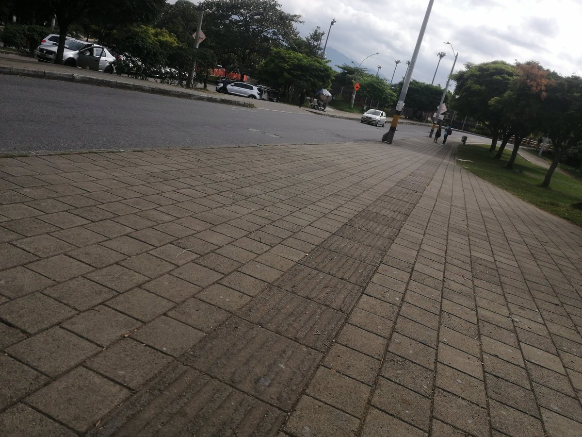 Sw-Medellin (@swmedellin9438) on Twitter photo 