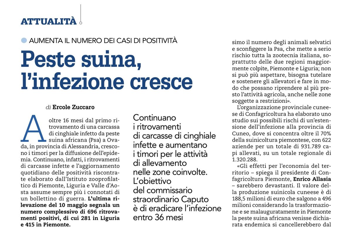 Peste suina, al lavoro per contenere la diffusione dell’epidemia
Swine fever, working to contain the spread of the epidemic
16 months after the discovery of the first case of African Swine Fever, in the regions of #Piedmont and #Liguria, there are 691 positive results