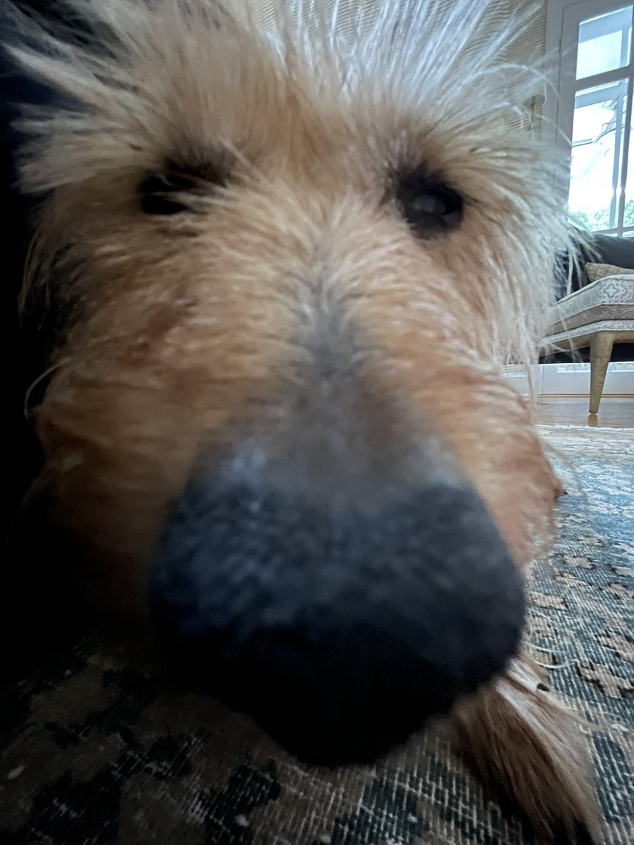 WinstonTapper tweet media