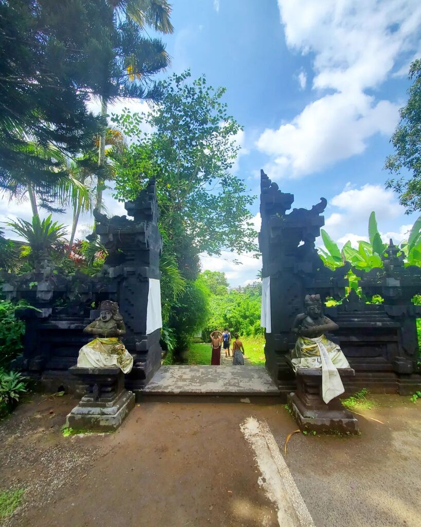 bumblingtourist's tweet photo. 🇮🇩 Getting lost in Ubud! 💚🌱
Follow our adventures at https://t.co/TPKxhoFGQY .
.
.
#bumblesyo #youtube #travel #indonesia #bali #ubud #jungle #temple #youtubetravel #travelgram #instatravel #ubudbali #baliindonesia #travelindonesia #tourismindone… https://t.co/z4dv8TD3ll https://t.co/kvXUMf8yi3